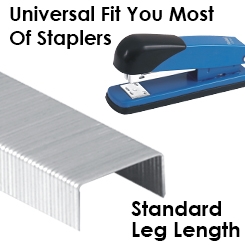 Standard Leg Length Staples