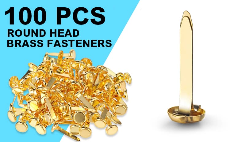 31mm  Paper Fasteners