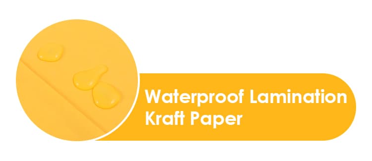 Waterproof Envelope Bag