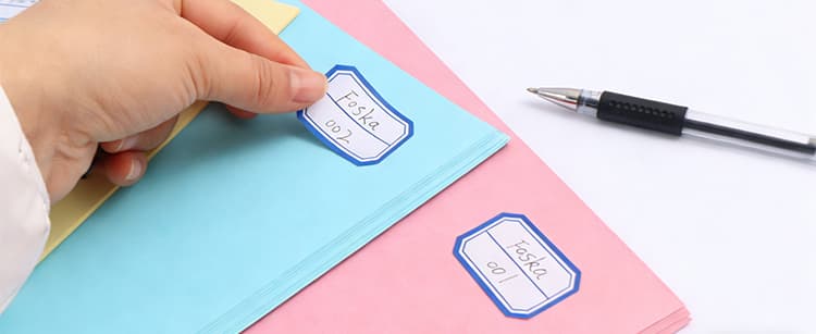 Assoretd Colors Folding Paper