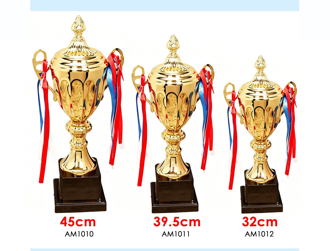prize trophy for competition winners prize trophy for competition winners